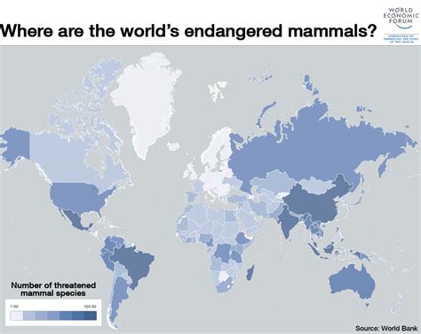 A World Of Endangered Animals 2025 𝚆𝚊𝚝𝚌𝚑 Online & Series Reviews
